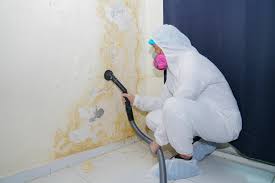 Best Air Quality Testing for Mold Spores  in USA